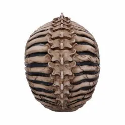 NEMESIS NOW Crâne JAMES RYMAN 'spine Head' -Vêtements Gothiques b5390s0 3 900