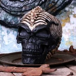 NEMESIS NOW Crâne JAMES RYMAN 'spine Head' -Vêtements Gothiques b5390s0 7 900