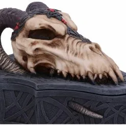 NEMESIS NOW Boîte Dragon En Résine Monte Moore -Vêtements Gothiques d5986w2 4 900