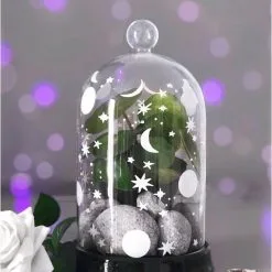 Cloche En Verre KILLSTAR 'empyrean'