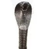 DISCOBOLE Canne/épée Cobra -Vêtements Gothiques h5930 canne gentleman pommeau tete de cobra serpent gothique fantastique 900