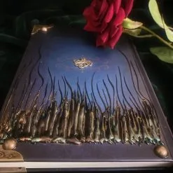 DISCOBOLE Journal Intime Gothique 'Sirène' -Vêtements Gothiques img 680120230228 101056 900