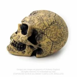 Crâne ALCHEMY GOTHIC 'omega Skull' 8 Crâne ALCHEMY GOTHIC 'omega Skull' -Vêtements Gothiques omega skull2 900