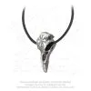 Pendentif ALCHEMY GOTHIC 'helm Of Awe Ravenskull' -Vêtements Gothiques p687