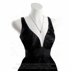 Pendentif ALCHEMY GOTHIC 'rabenschadel' -Vêtements Gothiques rabenschadel kleine1