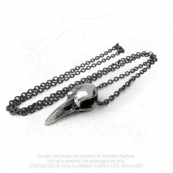 Pendentif ALCHEMY GOTHIC 'rabenschadel' -Vêtements Gothiques rabenschadel kleine3