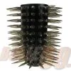 DISCOBOLE Avant-bras Cuir 121 Spikes 1 DISCOBOLE Avant-bras Cuir 121 Spikes -Vêtements Gothiques website 1219